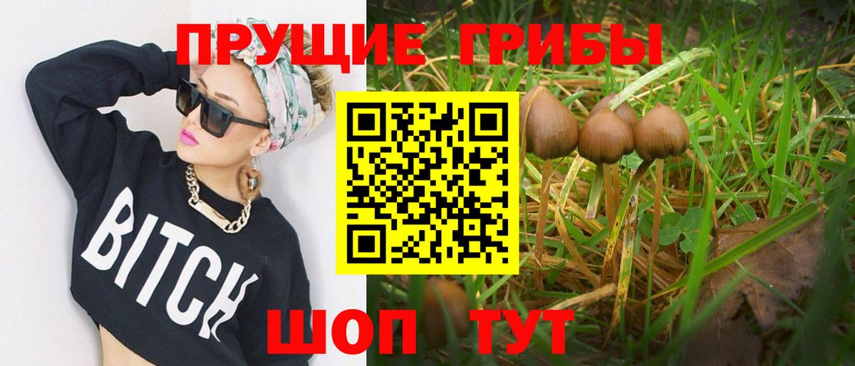 что такое   Псилоцибиновые грибы ЛСД  Вход с VPN  Абакан 